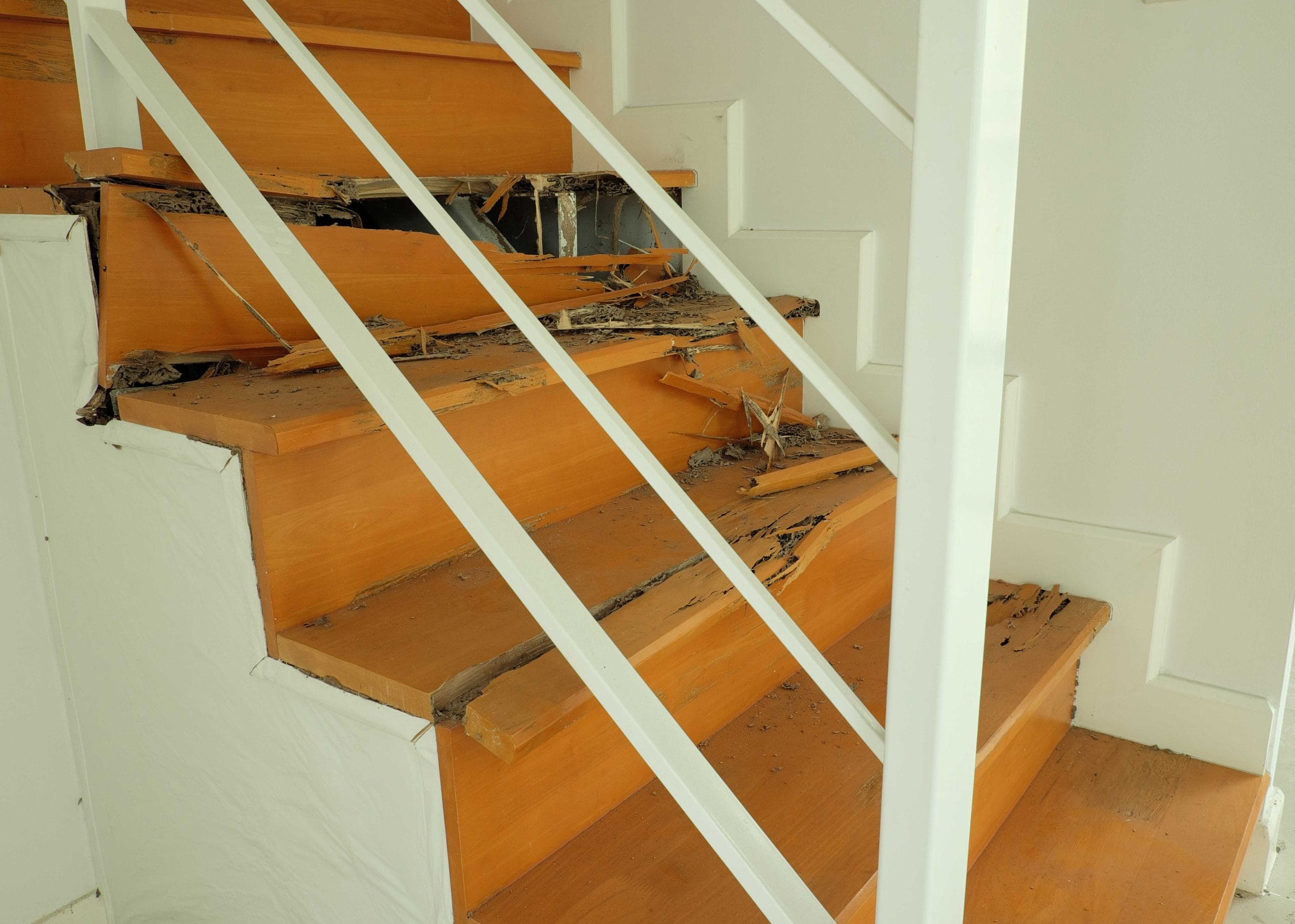termite-damage-stairs-scaled Nashville, TN